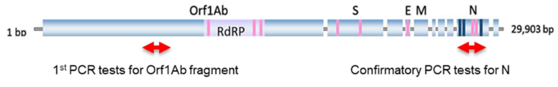 A Confirmatory Test for Positive Results