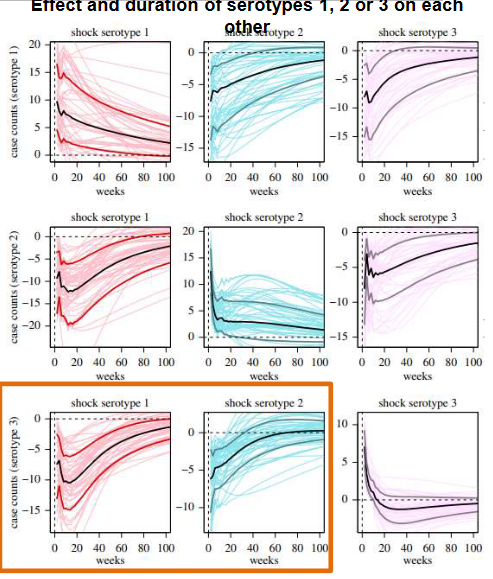 Population-Level Cross-Protection to DENV-3 Waning