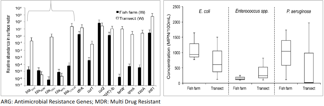 High Concentrations of ARG and MDR *E. coli* in Surface Waters of Farms and Transect