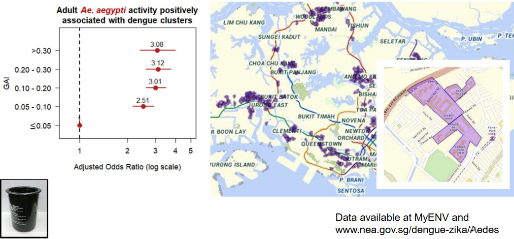 Gravitrap Surveillance Systems Around Singapore