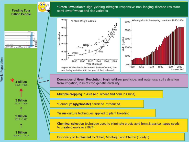 Details of the Green Revolution