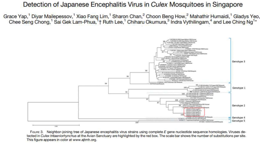 Genotypes of Japanese Encephalitis Virus in Singapore