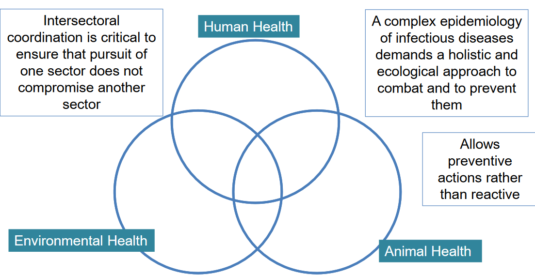 One Health Model of Disease Transmission