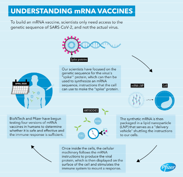 Pfizer Infographic on mRNA Vaccines