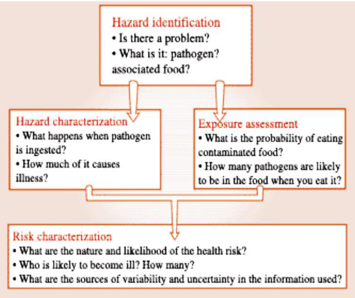 A Flowchart of Risk-Based Approaches