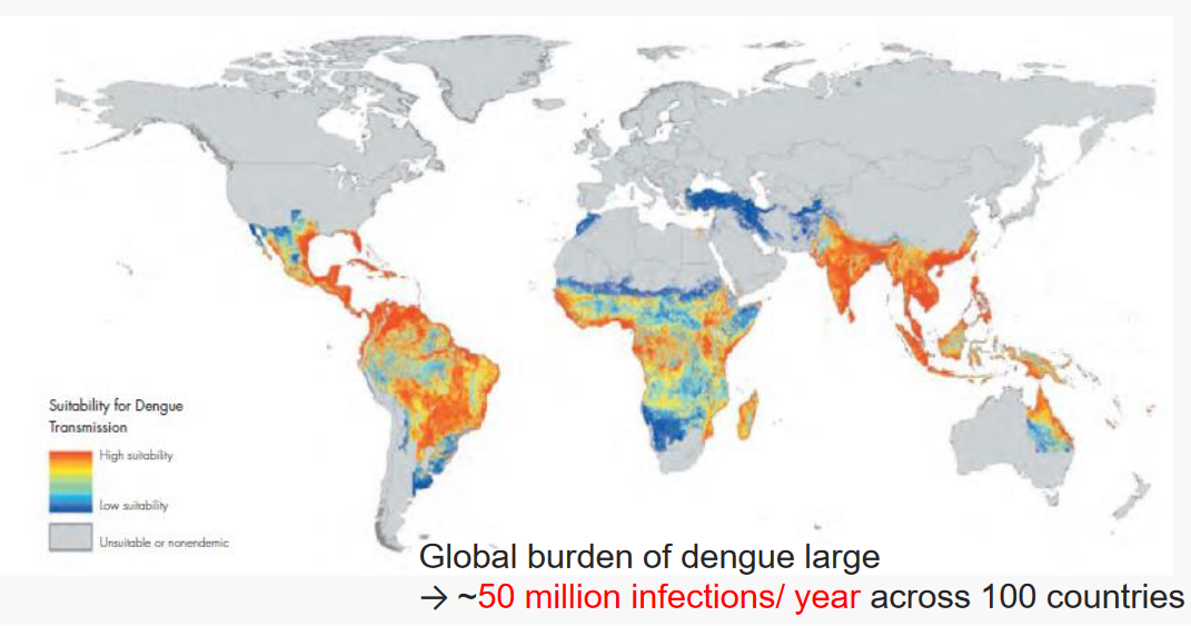 Dengue Risk Map in 2012