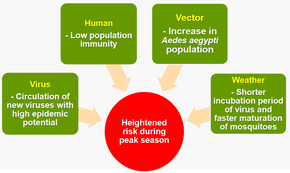 Factors that Raise Dengue Infection Rates