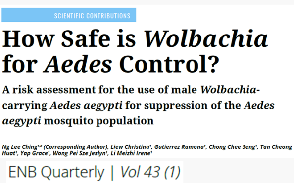 A Study on the Safety of Project Wolbachia