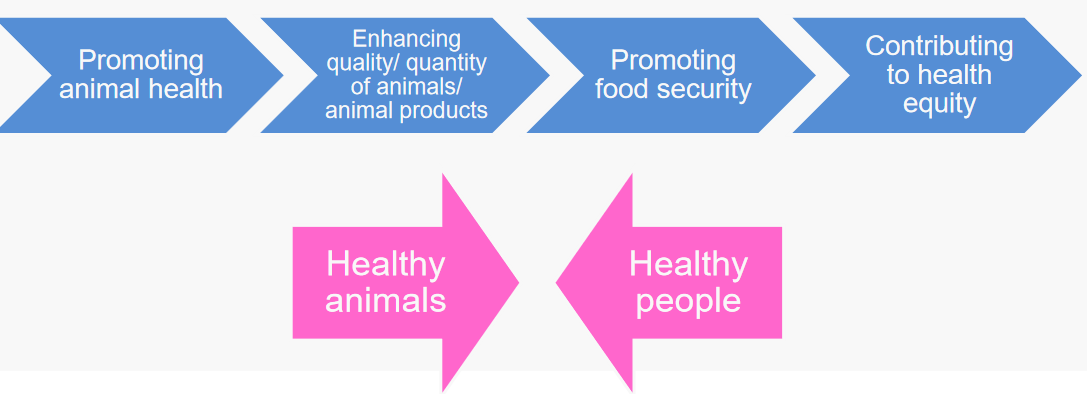 Importance of Promoting Good Verterinary Public Health