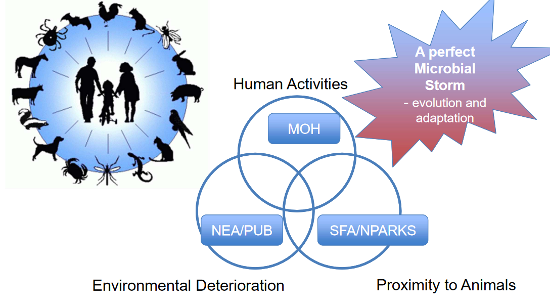 Triple Threat Model to Vector-Borne Diseases