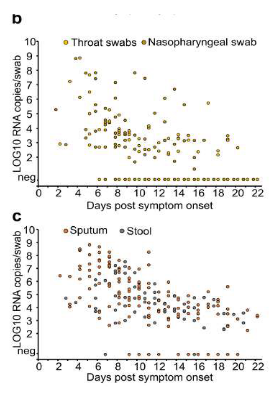 Amount of COVID-19 Virus Particles in Stool Samples