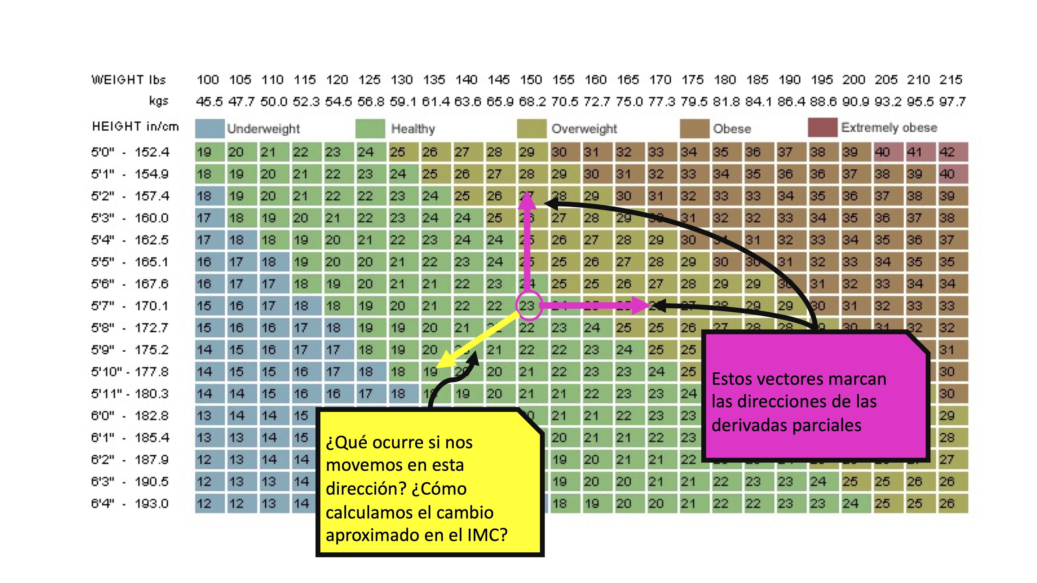 FIG1 We take a direction in which we lose weight and grow