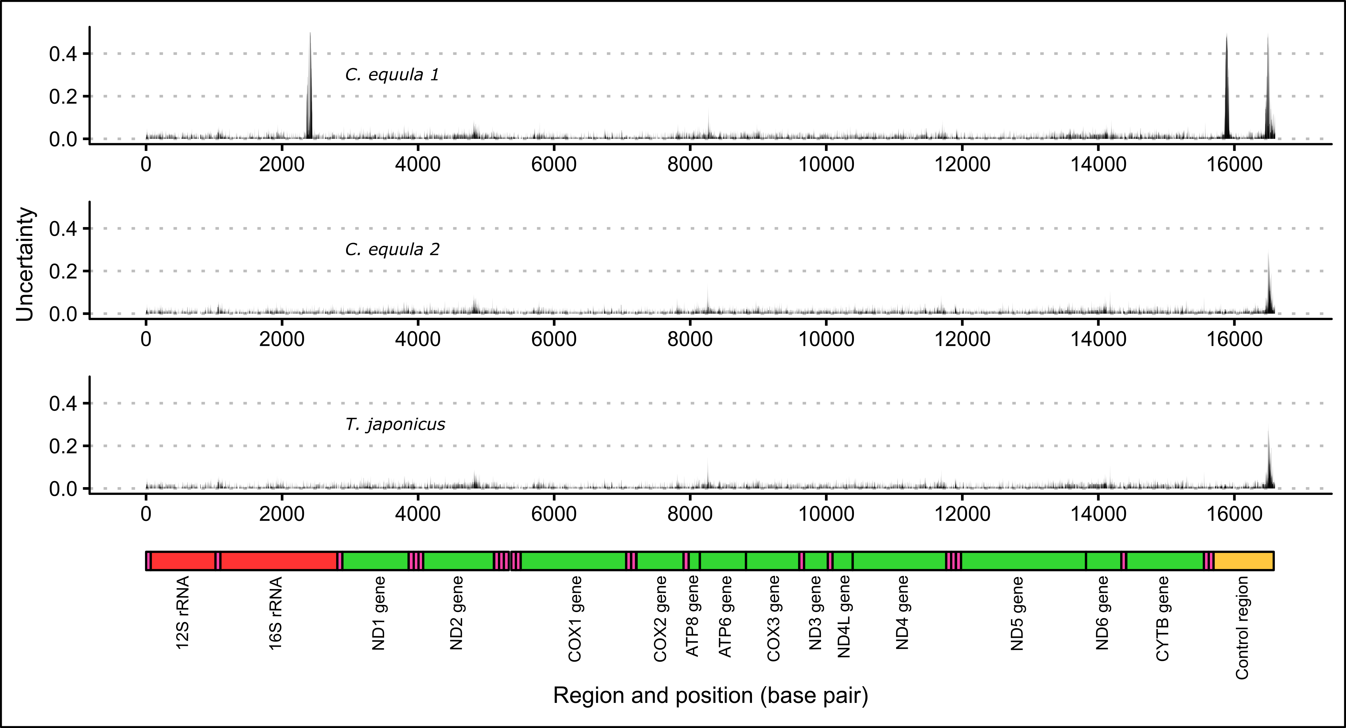 Uncertainty in the consensus mitogenome resulting from assembling whole genome data of one *P. georgianus* individual (*Broodstock trevally 1*) to three reference mitogenomes.