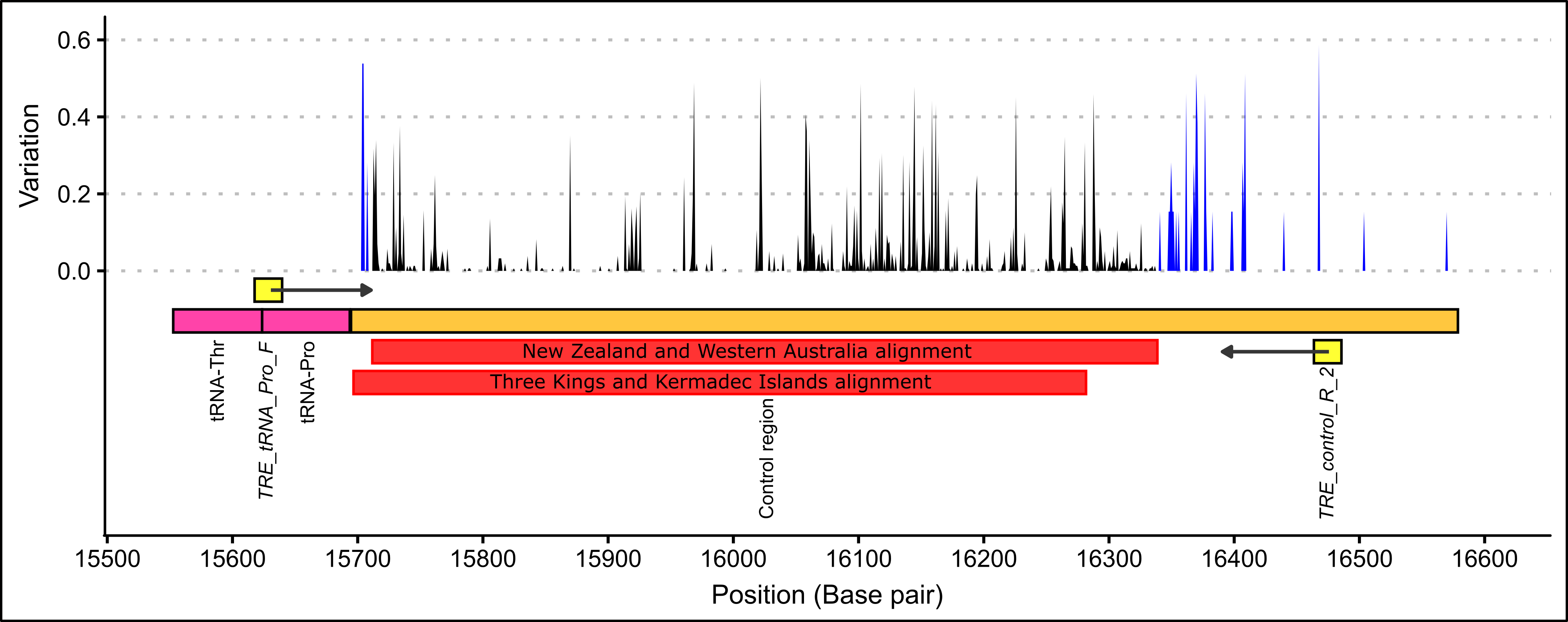 The alignment positions of two *P. georgianus* alignments showing the level of within species variation based on thirteen broodstock *P. georgianus* (blue) and 304 *P. georgianus* sampled in New Zealand (black).