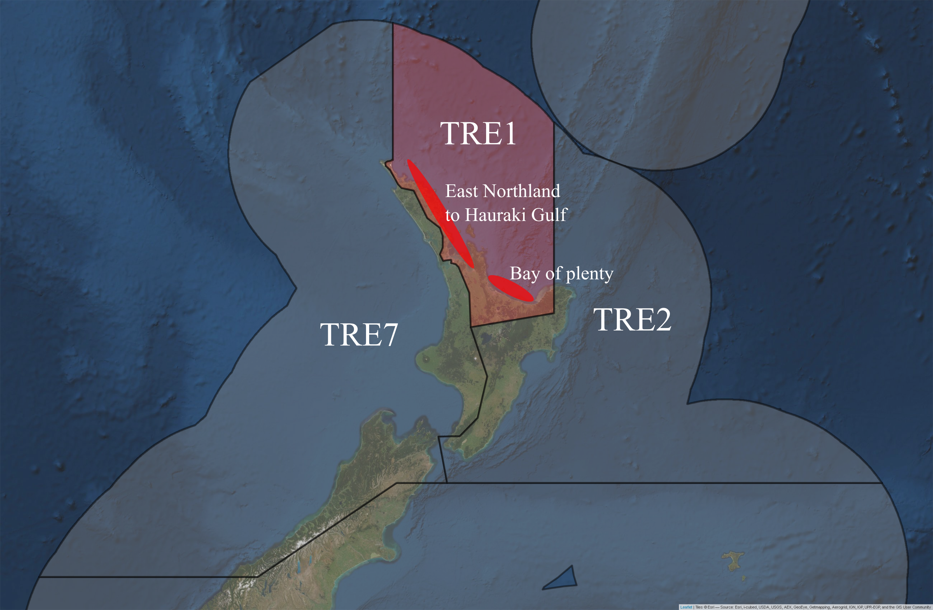 Putative sub-stocks of *P. georgianus* in New Zealand.