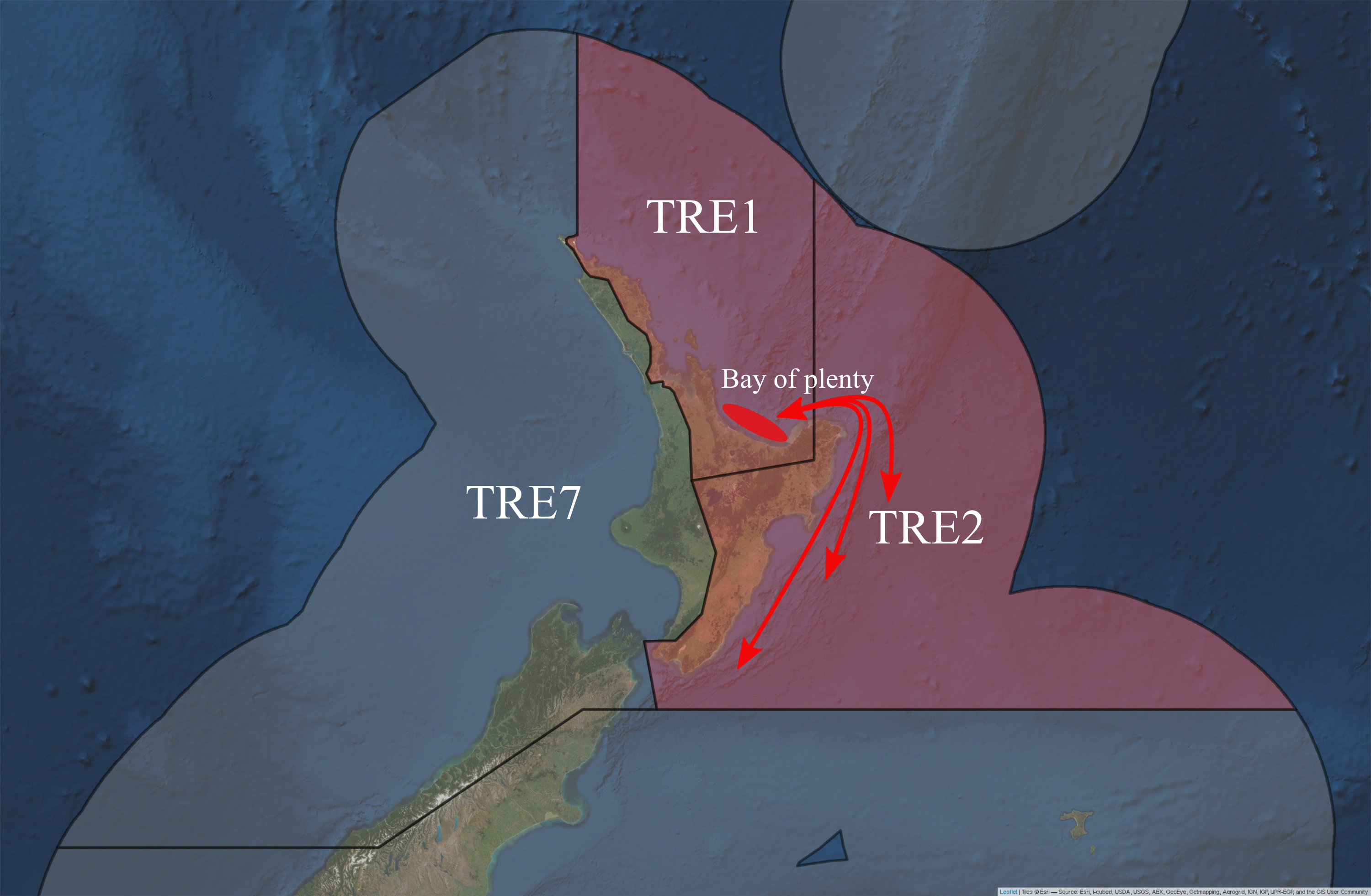 Putative sub-stocks of *P. georgianus* in New Zealand.