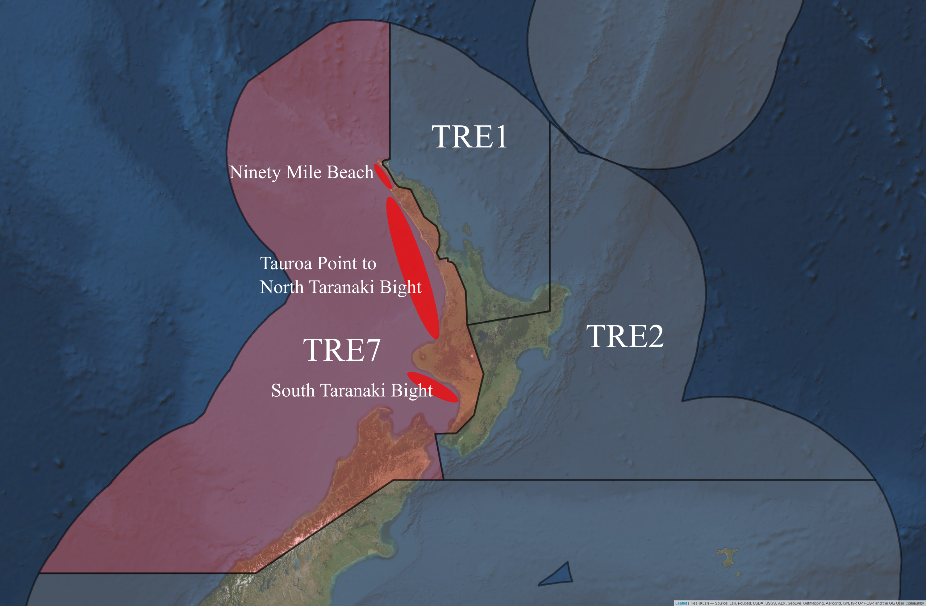 Putative sub-stocks of *P. georgianus* in New Zealand.