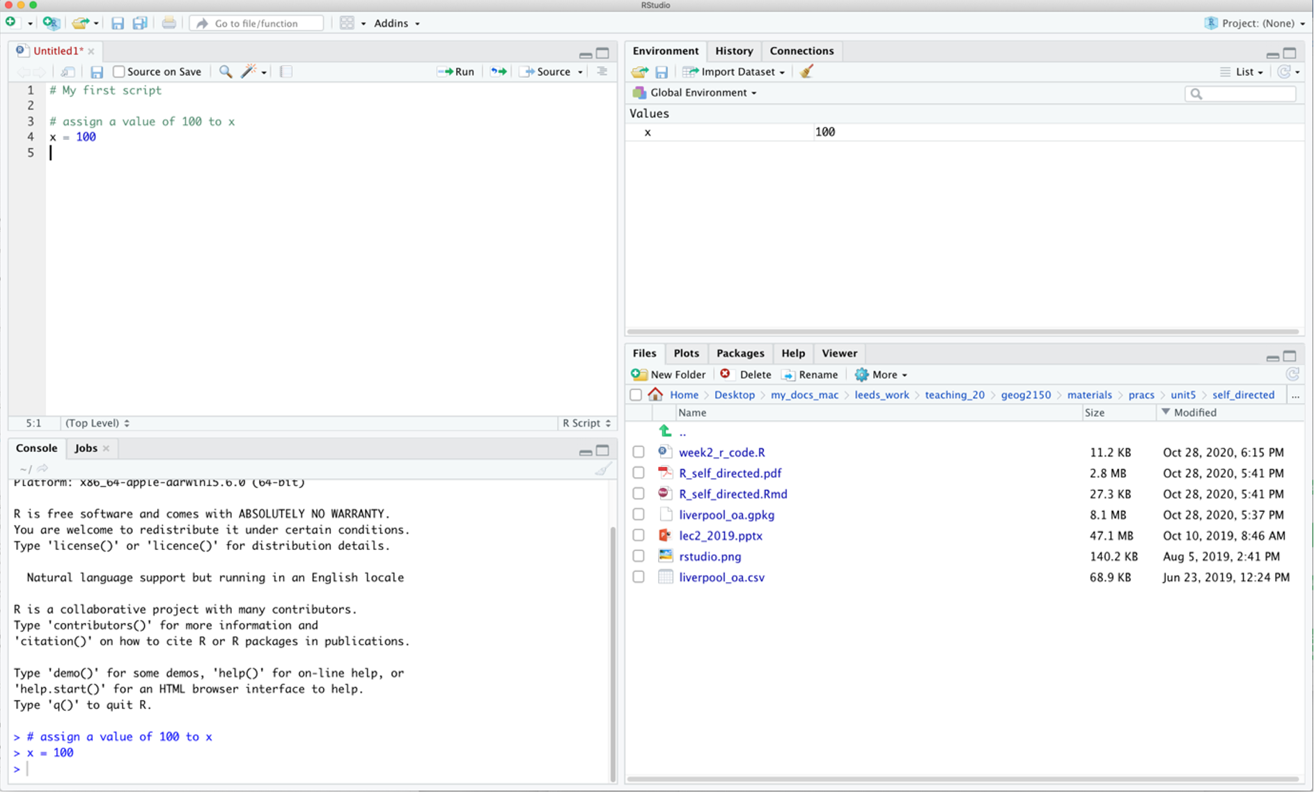 The RStudio environment.