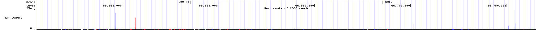 This is an image of the TSSseq evidence track for a small region of the human genome. All other tracks have been hidden. Count the number of transcription starts sites then guess how many genes you think these TSS peaks correspond to.