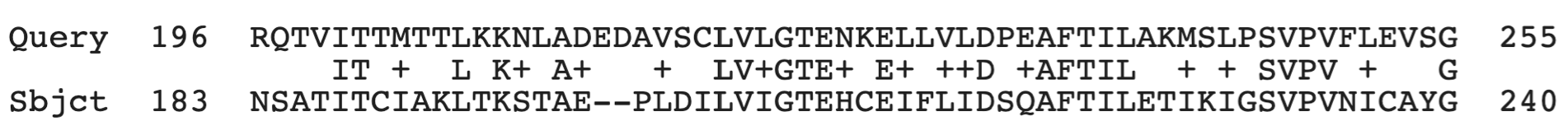 A single row of a pairwise alignment. See text for details.