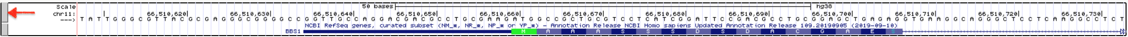 How to view all three reading frames for a single strand of DNA. Right click on the gray rectangle on the left of the Base Position Track (red arrow). A pulldown menu will open. Choose Full.