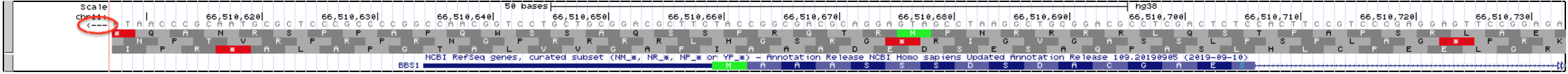 Once you change the base position track to **Full**, the three possible reading frames for a *single* DNA strand will be displayed. When the arrow points to the right, the three reading frames will be of the top strand (top image). Notice the start codon in green matches the start codon in the third reading frame (**NOTE: This image comes from the 2013 genome assembly and will look different for you.**) In fact, nearly all of the amino acids in exon one match the amino acids in the third reading frame. We expect one of the three top strand reading frames to match *BBS1* since BBS1 is a top strand gene. Now , however, when the arrow points to the left (circled in red), the three reading frames displayed are for the bottom strand (bottom image). Now *none* of the amino acids in the three reading frames match the amino acids found in *BBS1*.