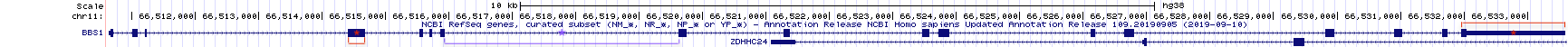 Understanding the gene prediction evidence track schematic. Boxes represent exons (two examples are bracketed and highlighted with a red asterix). The lines represent introns (one example is bracketed and highlighted with a purple asterix)