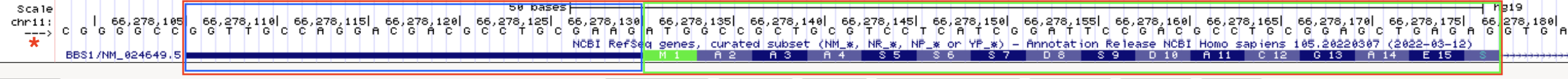 Exon 1 (red box) of BBS1 is part noncoding exon (blue box) and part coding exon (green box)