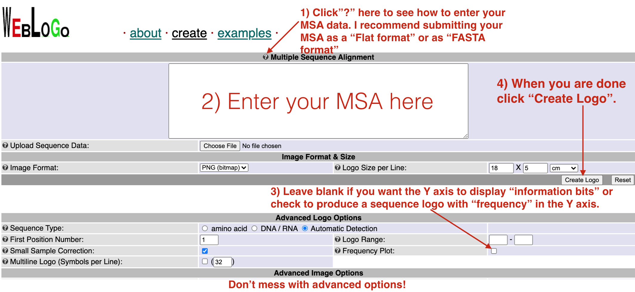 To use the Weblogo site successfully, follow the instructions as outlined above.