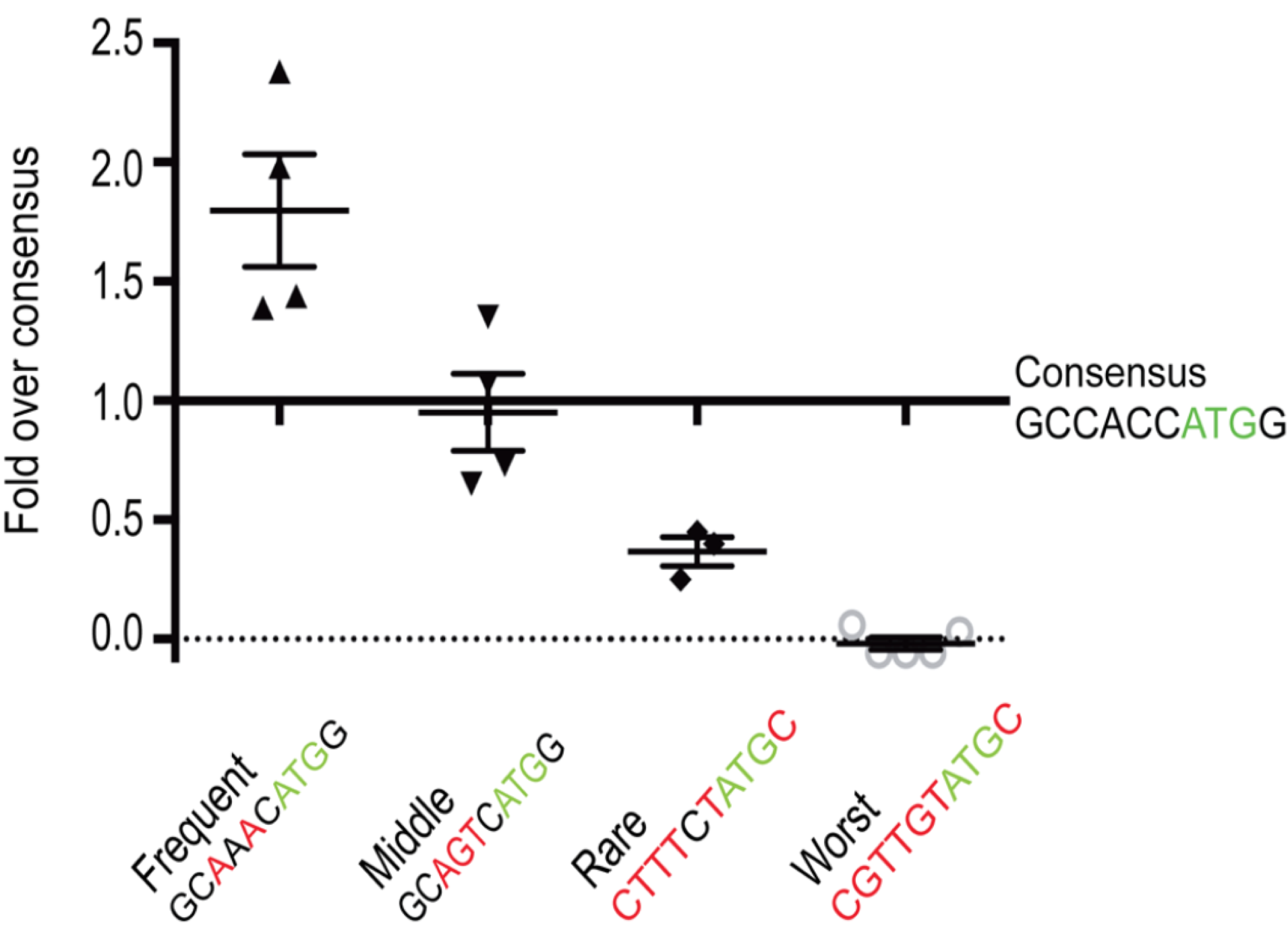 Figure taken from Grzegorski et al. 2014. The Y-axis represents expression levels of the experimental reporter gene divided by expression levels of the control reporter gene containing the canonical kozak consensus sequence 