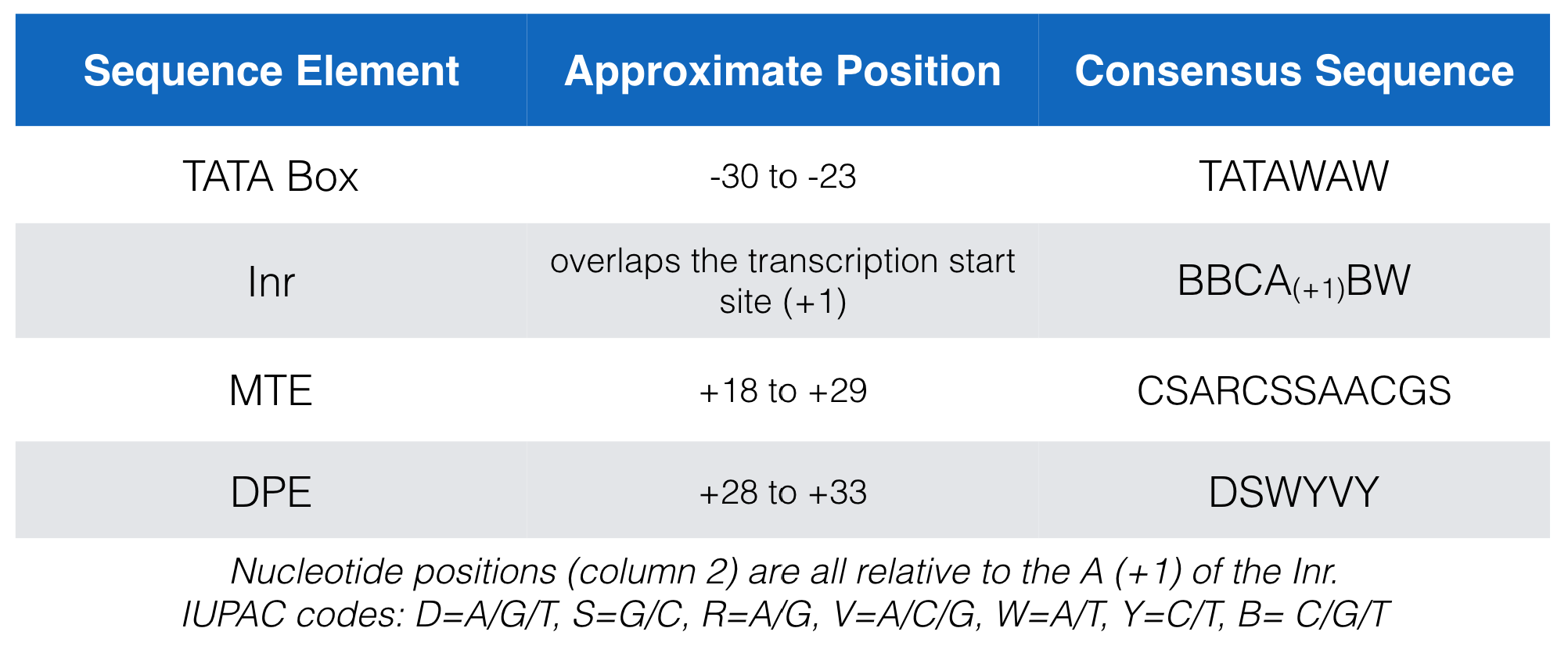 A list of the consensus sequences for each core promoter motif bound by TFIID in mammals.