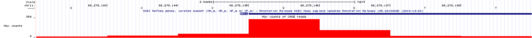 An even closer view of the TSS-seq histogram data surrounding the predicted transcriptional start site for BBS1. At this zoom level, the genome sequence *and* individual nucleotide positions are notable