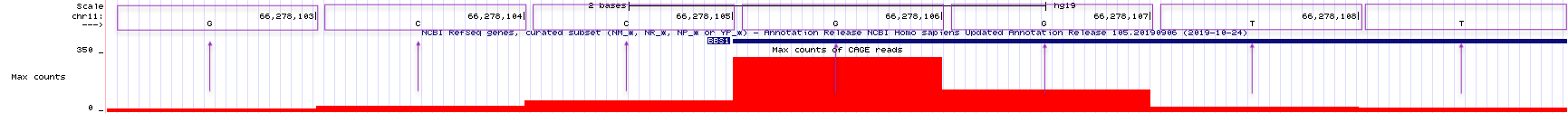 An annotated version of the same view of BBS1 as above.