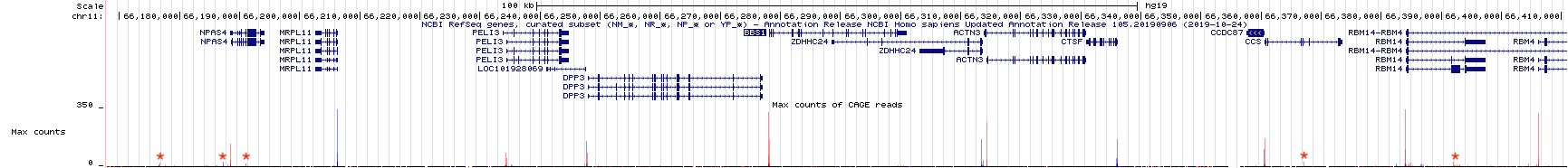 TSSseq data of a larger region surrounding BBS1. Each asterix (my annotation) highlights sequence reads that are not likely to represent true transcriptional start sites.