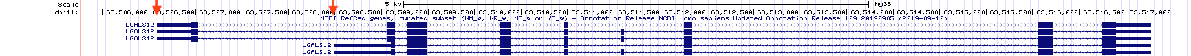 Transcription initiation for the LGALS12 gene can be found at two distinct places according to the NCBI RefSeq gene database. The red arrow points to the two transcription start sites