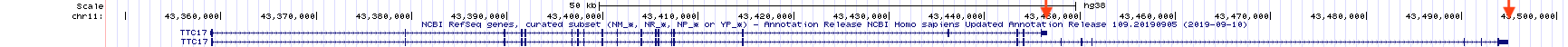 Transcription termination for the TTC17 gene occurs at two different sites according to the NCBI RefSeq gene database. Each is highlighted with a red arrow