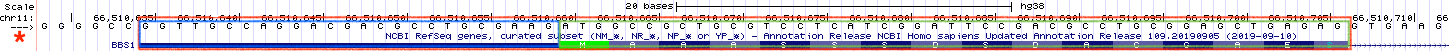 Exon 1 (red box) of BBS1 is part noncoding exon (blue box) and part coding exon (green box)