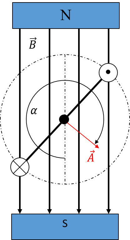 Abhängigkeit des Drehmomentes von der Position der Leiterschleife im Magnetfeld