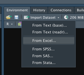 La funzione Import Dataset di RStudio