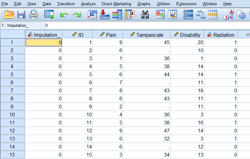 Imputed dataset.