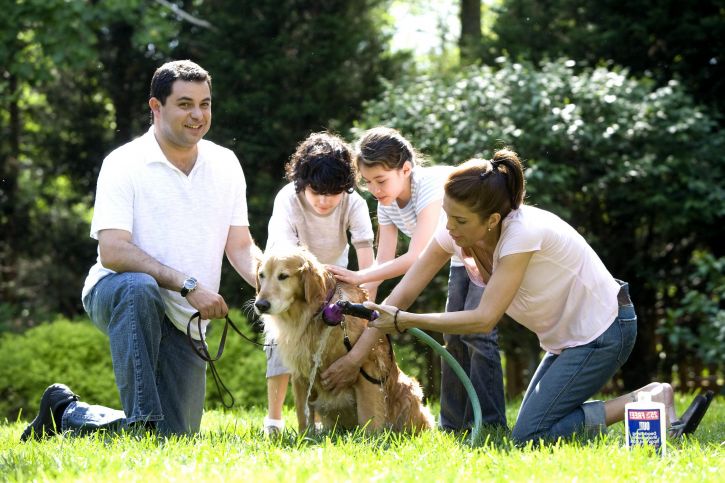 Families can support children’s social and emotional skills.^[[Image](https://pixnio.com/people/parent-child-relations) is in the public domain]