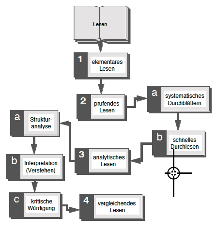 Vier Lesestufen