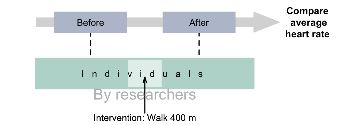 Experimental studies with a repeated-measures RQ.\spacex The thin, dashed lines indicate steps not under the control of the researchers.