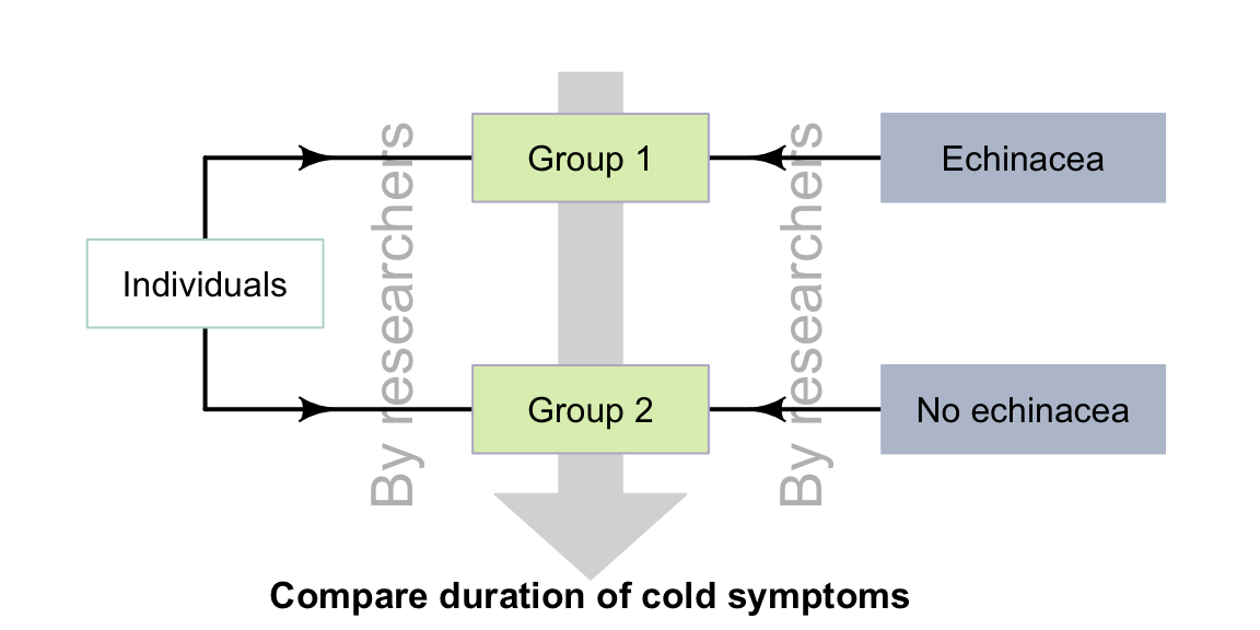 True experimental studies: researchers allocate individuals to groups, and treatments to groups.