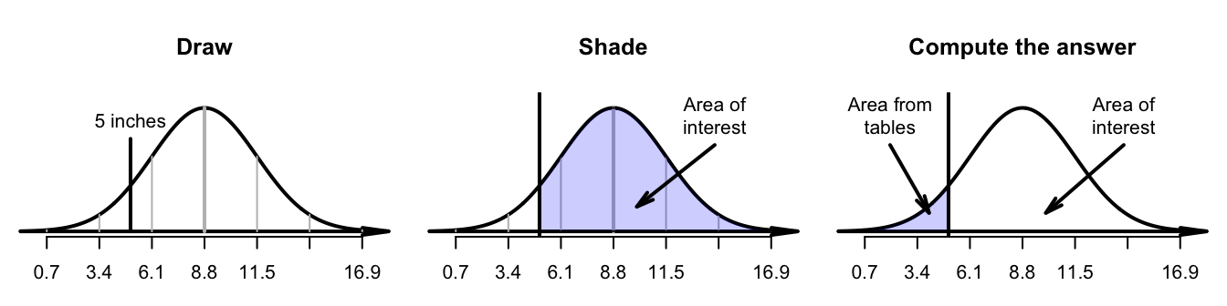 What proportion of tree diameters are greater than $5$ inches?