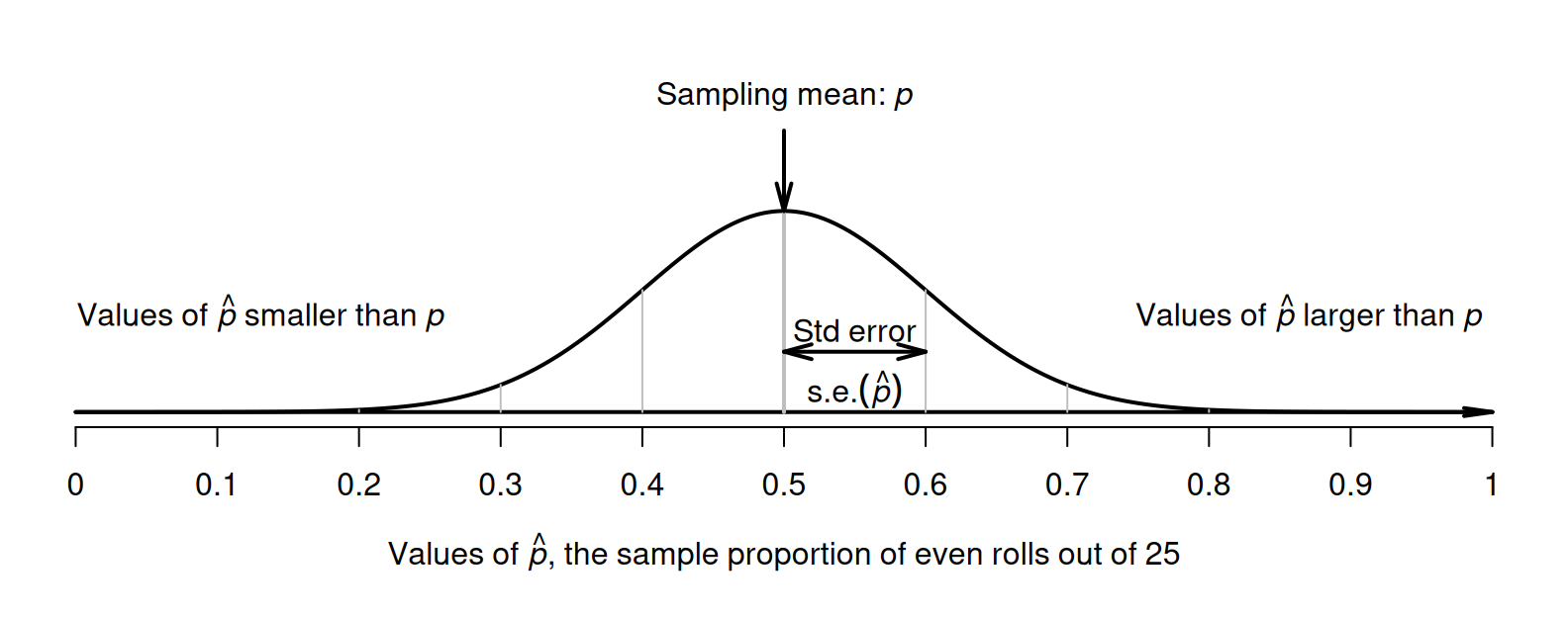 The sampling distribution is an approximate normal distribution; it shows a model of how the proportion of even rolls varies when a die is rolled $25$ times.