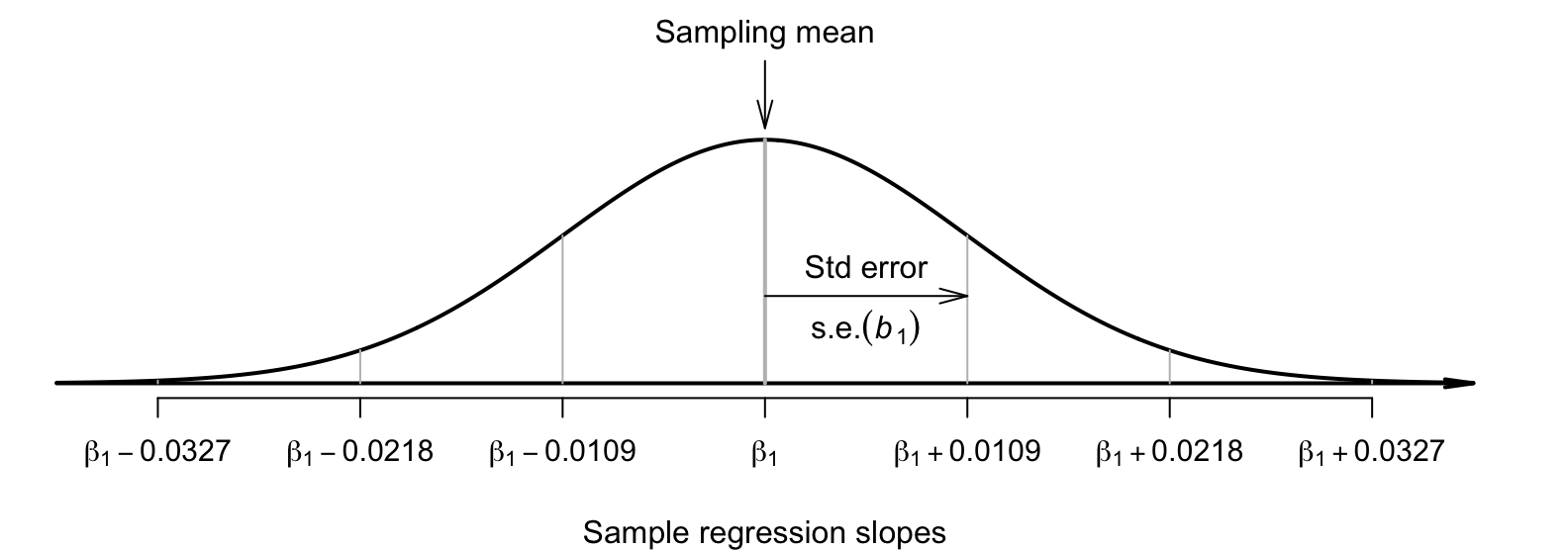 The distribution of sample slope for the dog-breed data, around the population slope\ $\beta_1$.