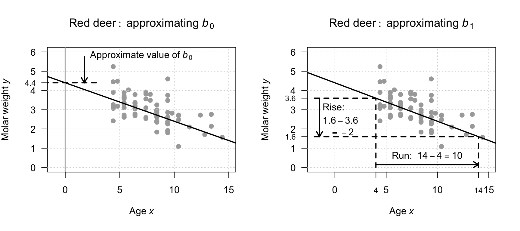 Obtaining rough guesses for the regression equation for the red-deer data. Left: Approximating $b_0$. Right: approximating $b_1$ using rise-over-run.