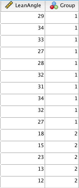 The data in the Data View