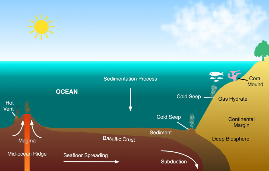 Figure 2.4: Vertical section of the seabed and seafloor structures. Adapted from [41].